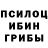 Псилоцибиновые грибы Magic Shrooms Dino Con