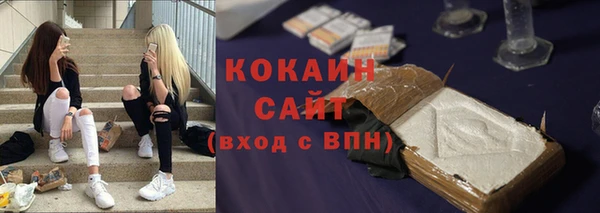 дмт Краснослободск