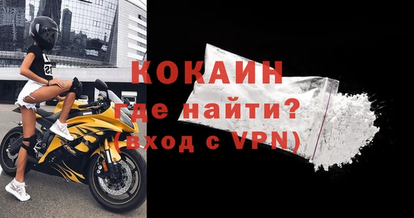 дмт Краснослободск