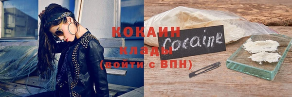 дмт Краснослободск