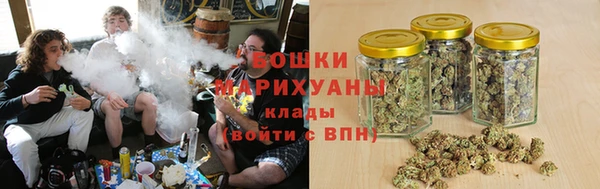 дмт Краснослободск