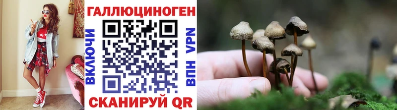 Галлюциногенные грибы MAGIC MUSHROOMS  Купить закладки  Свирск 