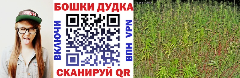 Купить где  Свирск  Конопля семена 